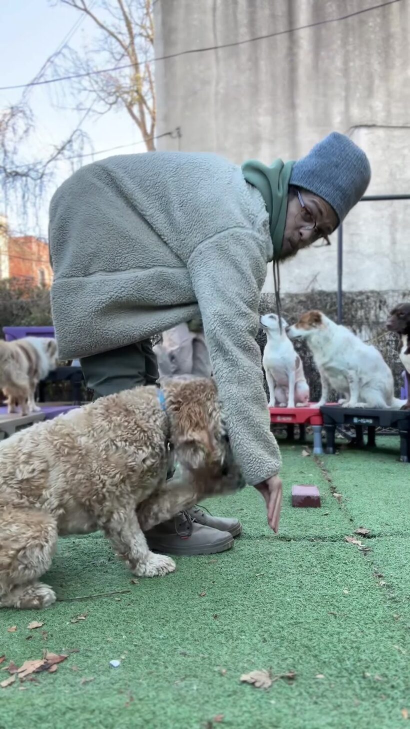 A PawNobi training a dog in the dojo yard
